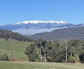 Rural / Farming commercial property for sale at Bullhead Road Mitta Mitta VIC 3701