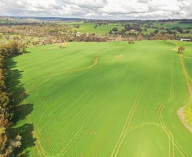 Rural / Farming commercial property sold at Lots 1566 Boyup Brook-Arthur Road Dinninup WA 6244