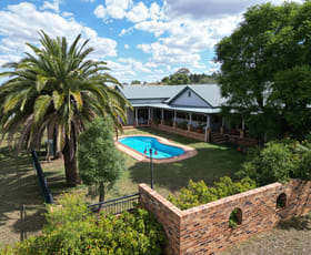 Rural / Farming commercial property for sale at 368 Digby Lane Curlewis NSW 2381