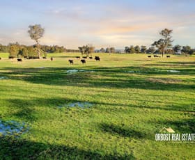 Rural / Farming commercial property sold at 46 Murphys Lane Orbost VIC 3888