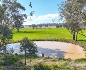 Rural / Farming commercial property for sale at 1174 New Winton Road Tamworth NSW 2340