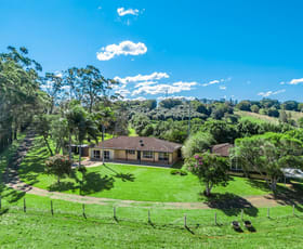 Rural / Farming commercial property sold at 1369 Bangalow Road Clunes NSW 2480