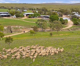 Rural / Farming commercial property for sale at 'Waterfalls' 264 Waterfalls Road Dutton East SA 5356