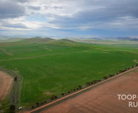 Rural / Farming commercial property sold at 59 Schuppan Road Emu Downs SA 5381