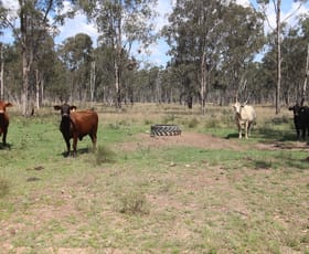 Rural / Farming commercial property for sale at Lot D Mundubbera Durong Road Brovinia QLD 4626