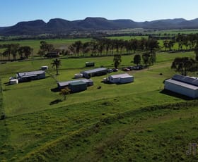 Rural / Farming commercial property sold at 130 Richmond Grove Road Sandy Hollow NSW 2333