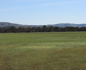 Rural / Farming commercial property sold at "Cooks" Deidre Road Eurelia SA 5431
