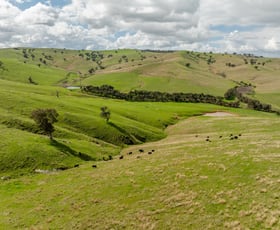 Rural / Farming commercial property sold at Spring Hill Nangus Road Gundagai NSW 2722