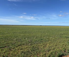 Rural / Farming commercial property sold at LOT 81 Wildman Road Cowell SA 5602