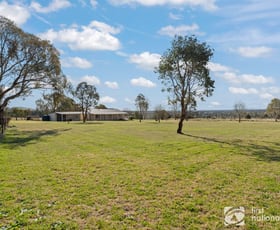 Rural / Farming commercial property sold at 349 Lowes Peak Road Mudgee NSW 2850