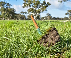 Rural / Farming commercial property for sale at 344 Krongart Road Penola SA 5277