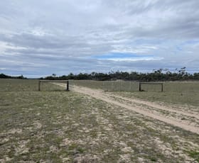 Rural / Farming commercial property sold at 1287 Baan Hill Road Lameroo SA 5302