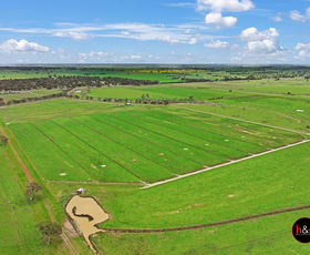Rural / Farming commercial property for sale at 1025 McColl Road Kyabram VIC 3620