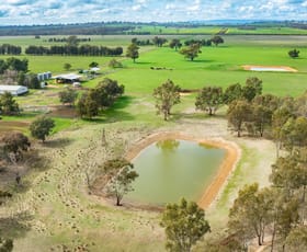 Rural / Farming commercial property for sale at 'Spring Lagoon'/487 Maloney Rd Burrumbuttock NSW 2642