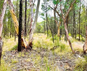 Rural / Farming commercial property sold at 7/1037 Westport Road Jacks Creek NSW 2390