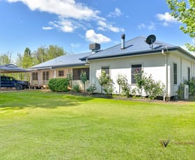 Rural / Farming commercial property for sale at 773 Back Kootingal Road Kootingal Tamworth NSW 2340
