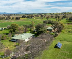 Rural / Farming commercial property for sale at 88 Lower Somerton Road Attunga NSW 2345