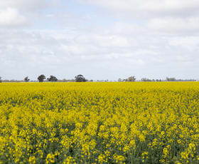 Rural / Farming commercial property sold at Mount Pleasant Road Minyip VIC 3392