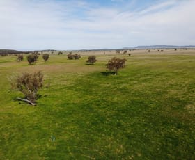 Rural / Farming commercial property for sale at 337 Booloocooroo Road Gunnedah NSW 2380