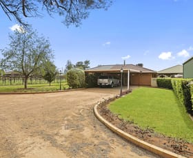 Rural / Farming commercial property sold at 183 Boobook Avenue Red Cliffs VIC 3496