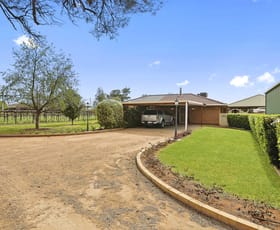 Rural / Farming commercial property for sale at 183 Boobook Avenue Red Cliffs VIC 3496