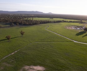 Rural / Farming commercial property for sale at 171 Crutes North Road Dadswells Bridge VIC 3385