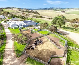 Rural / Farming commercial property for sale at 91 Coomooloo Road Inman Valley SA 5211