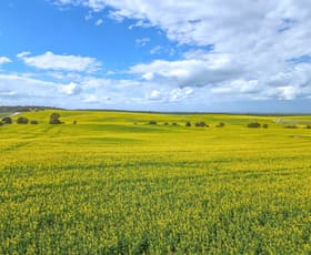 Rural / Farming commercial property sold at 'Ghost Gully' Sectio Ghost Gully Road Koolunga SA 5464