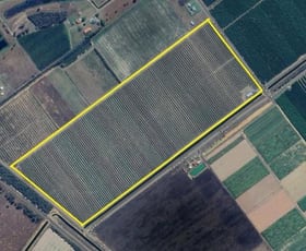 Rural / Farming commercial property sold at Lot 6 Eardleys Road Welcome Creek QLD 4670