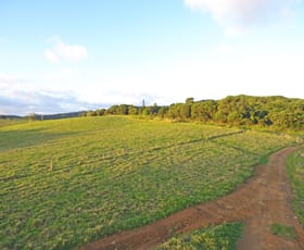 Rural / Farming commercial property sold at 0 Boar Pocket Rd Danbulla QLD 4872