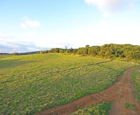 Rural / Farming commercial property for sale at Danbulla QLD 4872