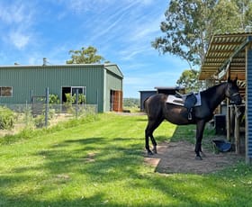 Rural / Farming commercial property for sale at 1359 Saddleback Road Forbes NSW 2871