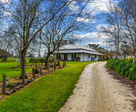 Rural / Farming commercial property sold at 79 Medhurst Rd Glencoe SA 5291