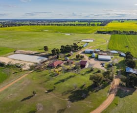 Rural / Farming commercial property for sale at 1349 Trungley Hall Road Temora NSW 2666