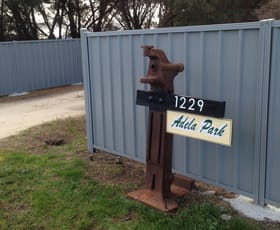 Rural / Farming commercial property for sale at 1229 Coast Road Lady Barron TAS 7255
