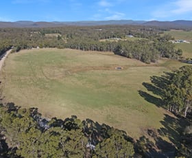 Rural / Farming commercial property for sale at 33 Reids Road St Helens TAS 7216