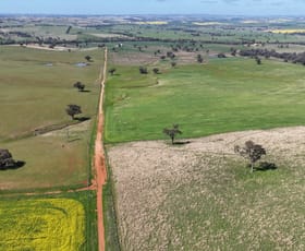 Rural / Farming commercial property for sale at Charlie's Block, Islands Road Cowra NSW 2794