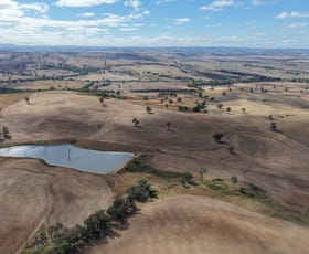 Rural / Farming commercial property for sale at Clunes Dam, Islands Road Cowra NSW 2794