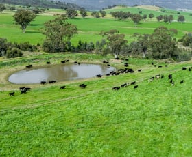 Rural / Farming commercial property sold at 'Peberdy' 511-513 Dalswinton Rd Denman NSW 2328