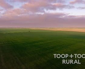Rural / Farming commercial property for sale at 735 Koch Road (via Loxton) Taldra SA 5311