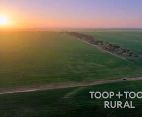 Rural / Farming commercial property for sale at 735 Koch Road (via Loxton) Taldra SA 5311