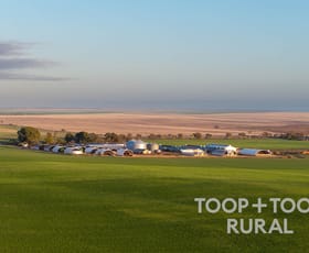 Rural / Farming commercial property for sale at 735 Koch Road (via Loxton) Taldra SA 5311