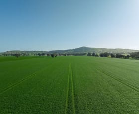 Rural / Farming commercial property sold at - Kanimbla Road Holbrook NSW 2644