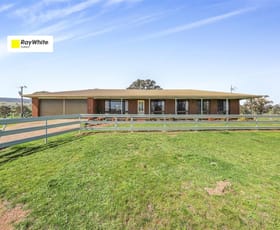 Rural / Farming commercial property for sale at 1538 Wee Jasper Road Tumut NSW 2720