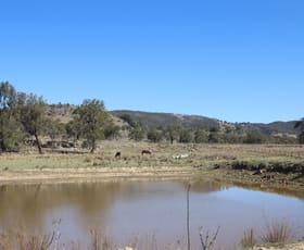 Rural / Farming commercial property for sale at 203 Woodside Road Tenterfield NSW 2372
