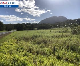 Rural / Farming commercial property for sale at Lot 2 Yakapari-Seaforth Road Mount Jukes QLD 4740