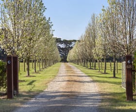 Rural / Farming commercial property for sale at 68 Sandy Point Road Somers VIC 3927