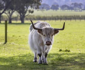 Rural / Farming commercial property for sale at 68 Sandy Point Road Somers VIC 3927