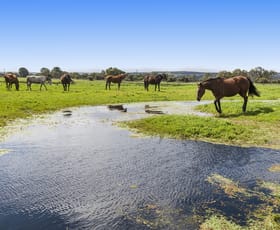 Rural / Farming commercial property for sale at 24 Gaston Road Bullsbrook WA 6084