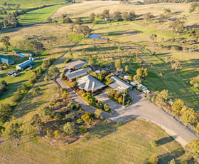 Rural / Farming commercial property sold at 45 Dolahentys Road Muswellbrook NSW 2333
